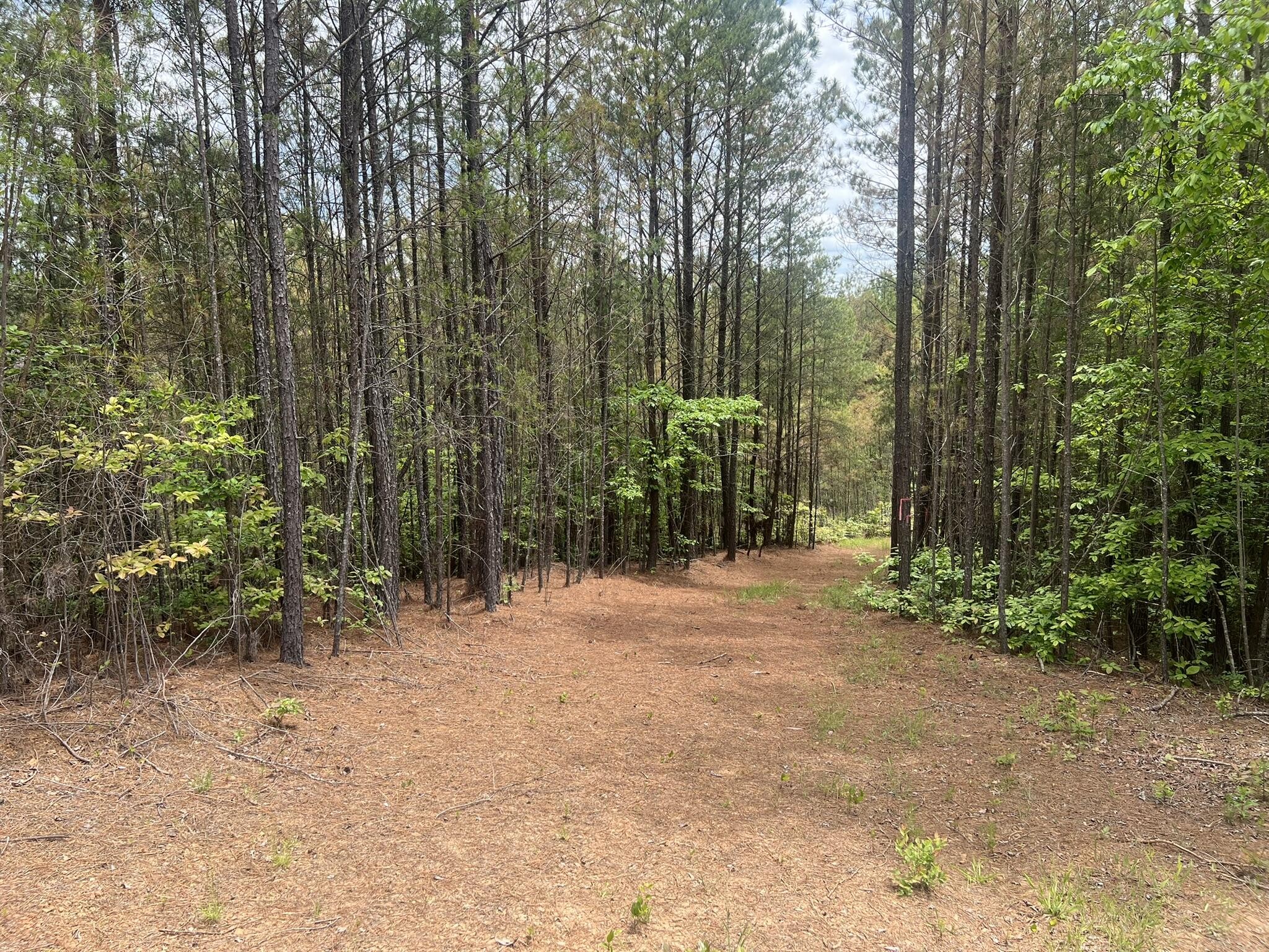 7 Skyline Drive Property Photo 12