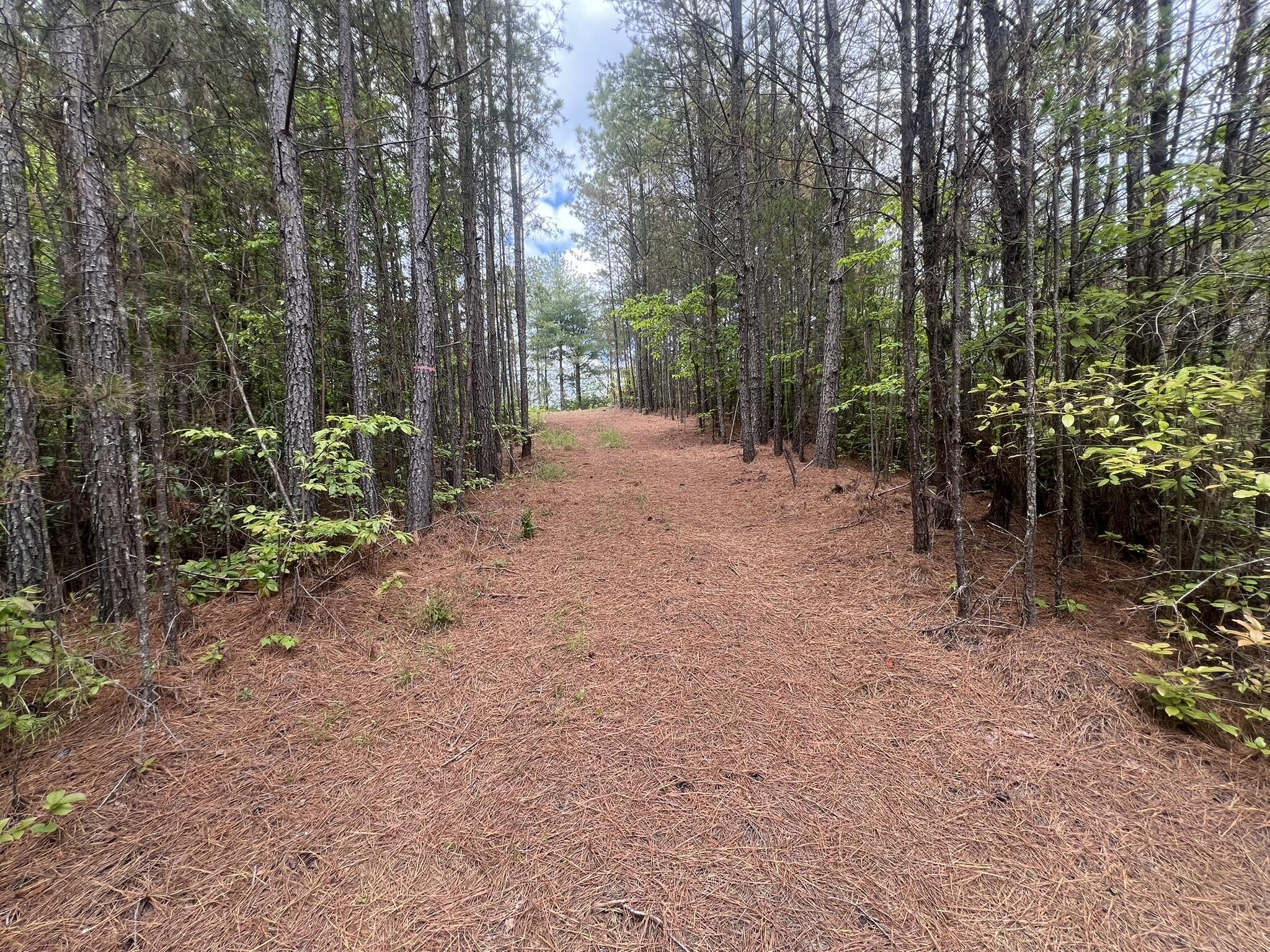 7 Skyline Drive Property Photo 13