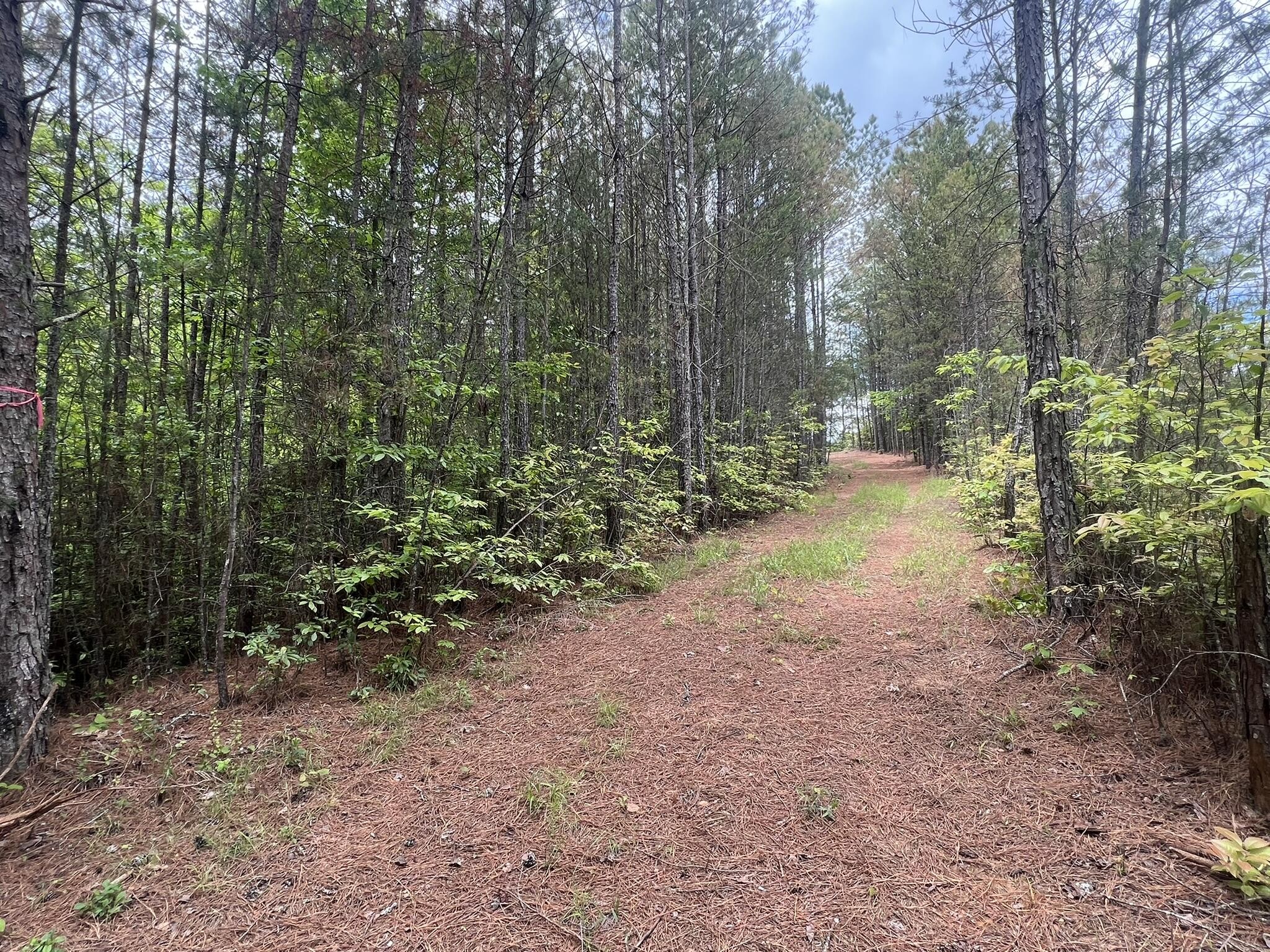7 Skyline Drive Property Photo 14