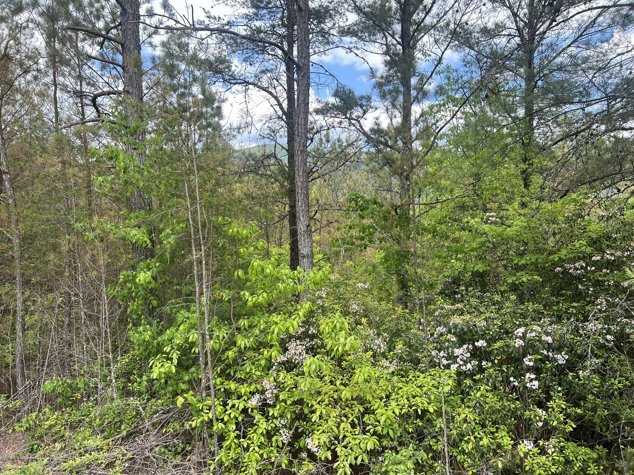 7 Skyline Drive Property Photo 15