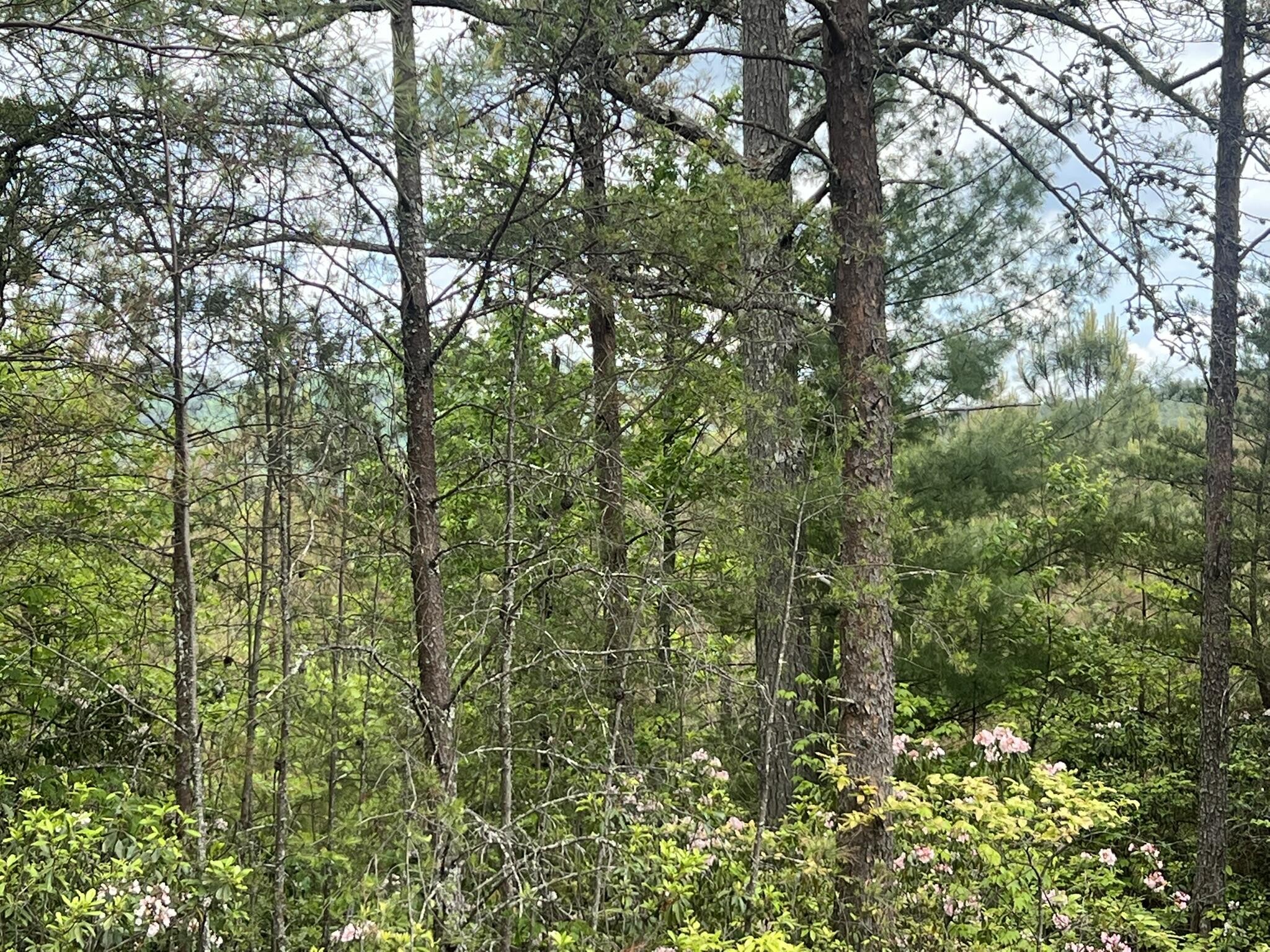 7 Skyline Drive Property Photo 16