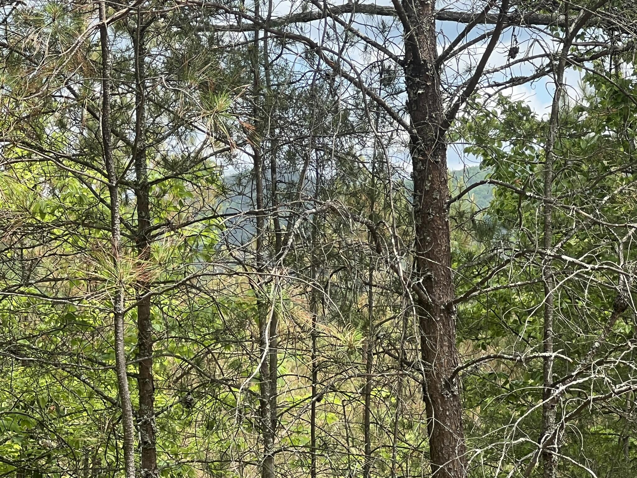 7 Skyline Drive Property Photo 22
