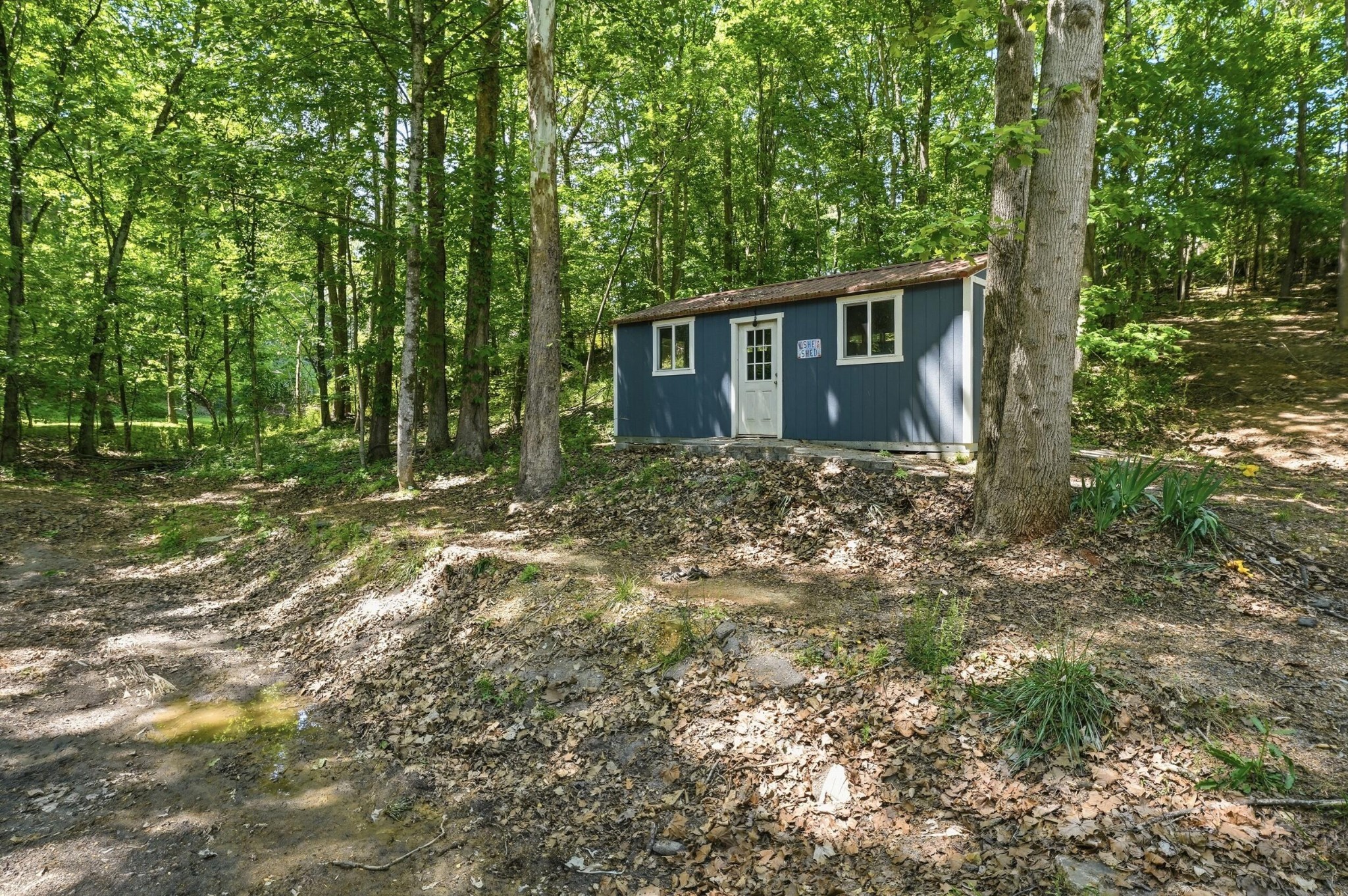 137 Brooksview Road Property Photo 6