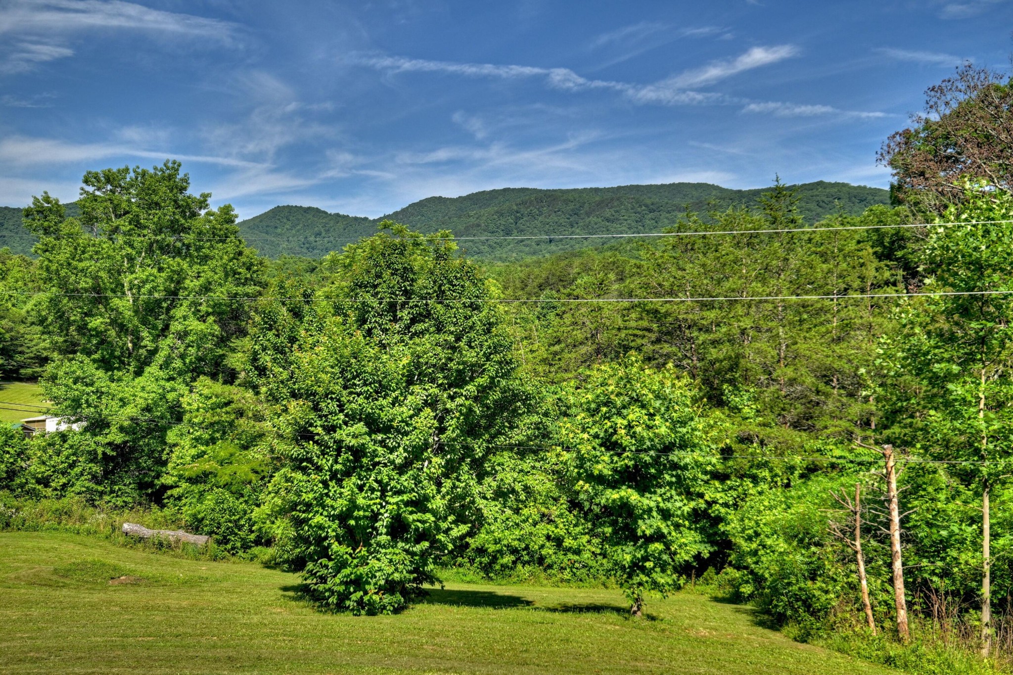 3892 Highway 68 Property Photo 2
