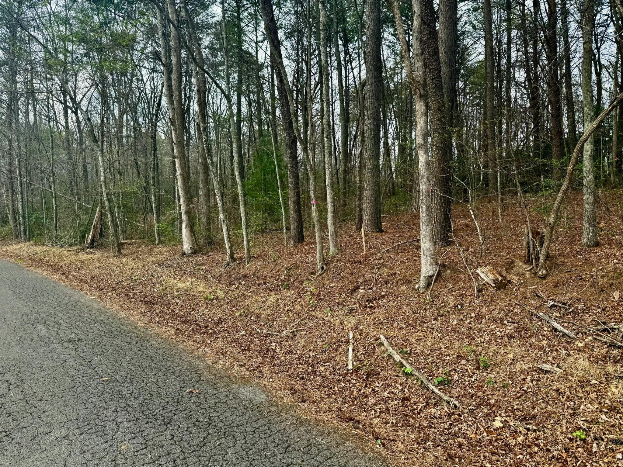0 Tennessee 68 Property Photo 1