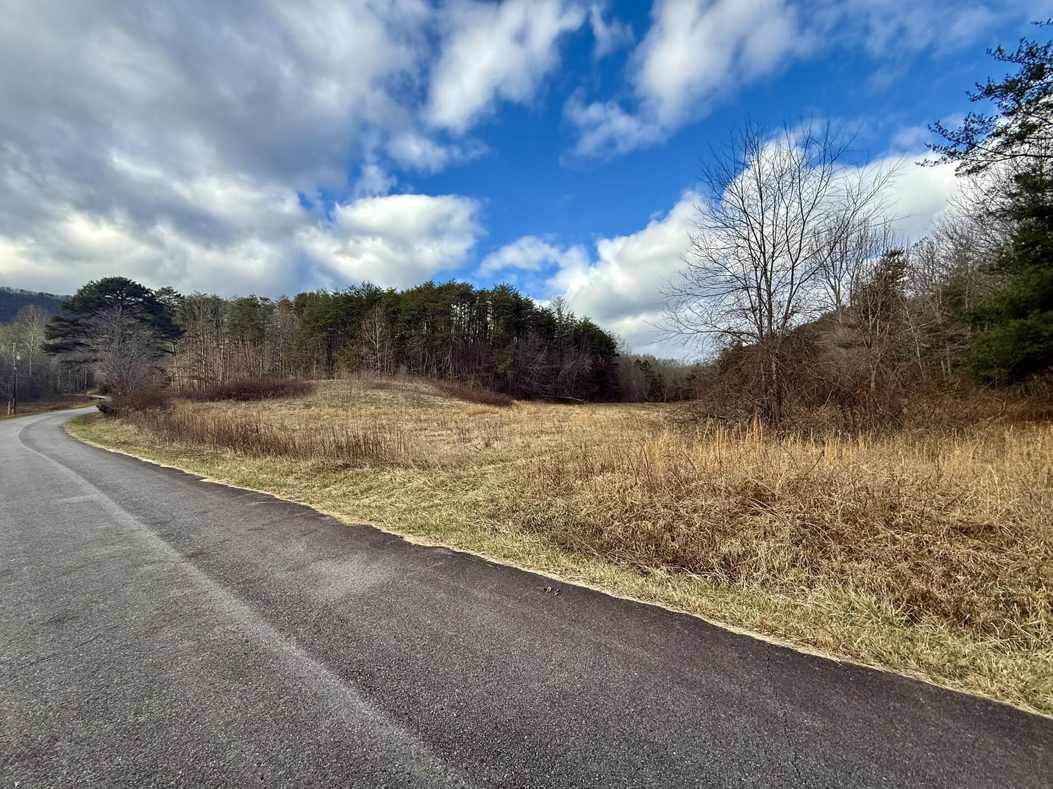 0 Cedar Springs Road Property Photo 2