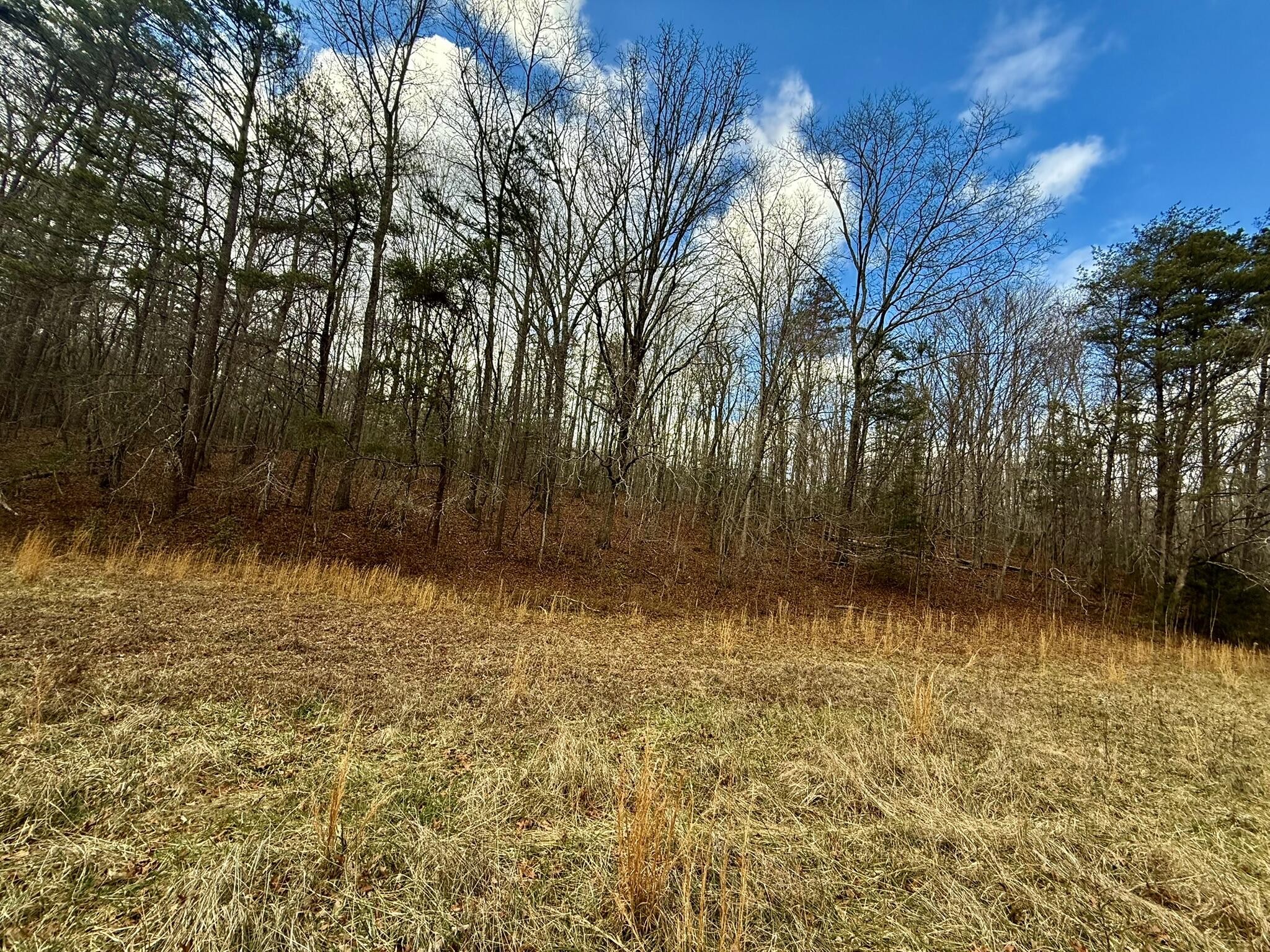 0 Cedar Springs Road Property Photo 3