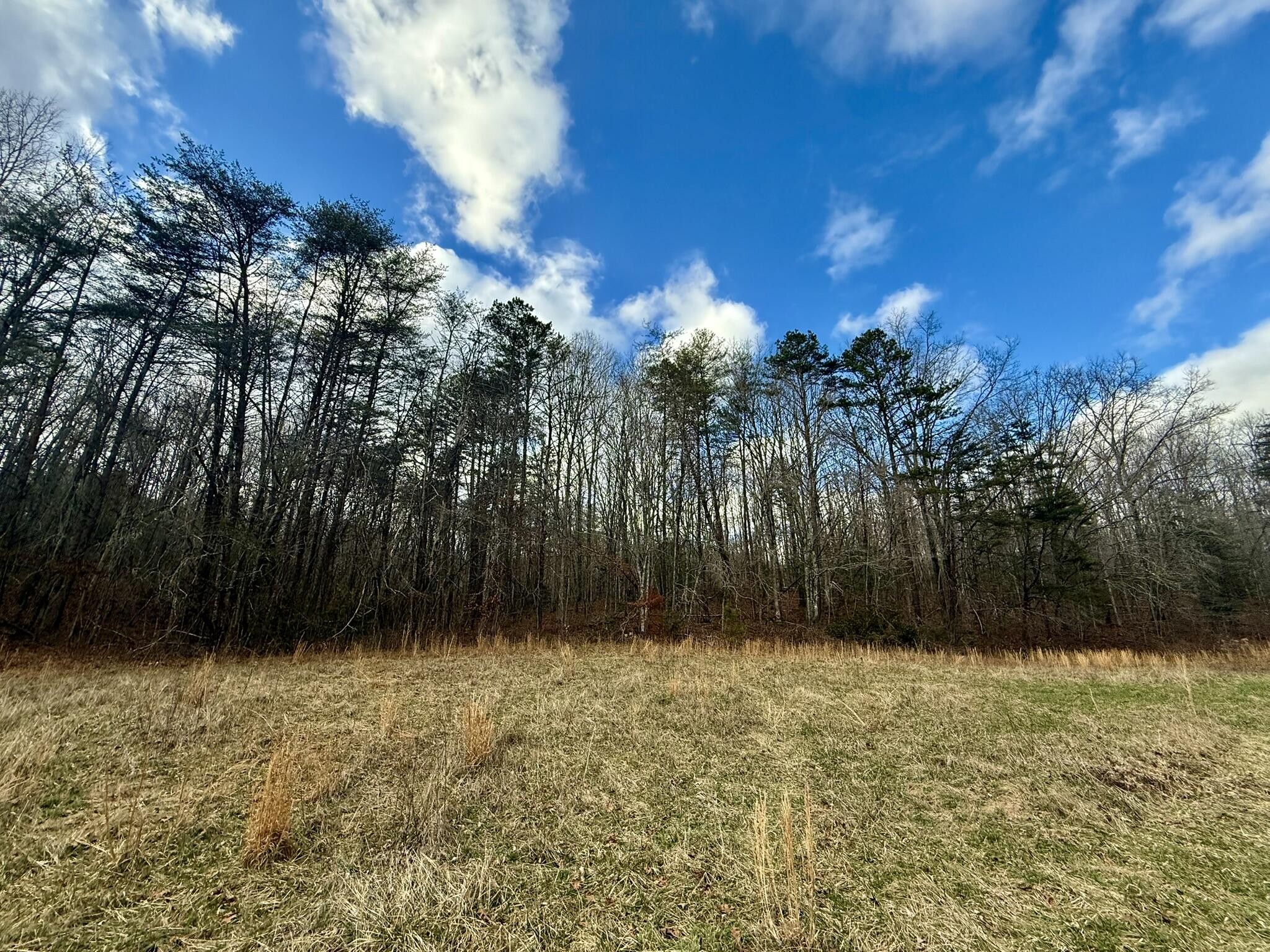 0 Cedar Springs Road Property Photo 4
