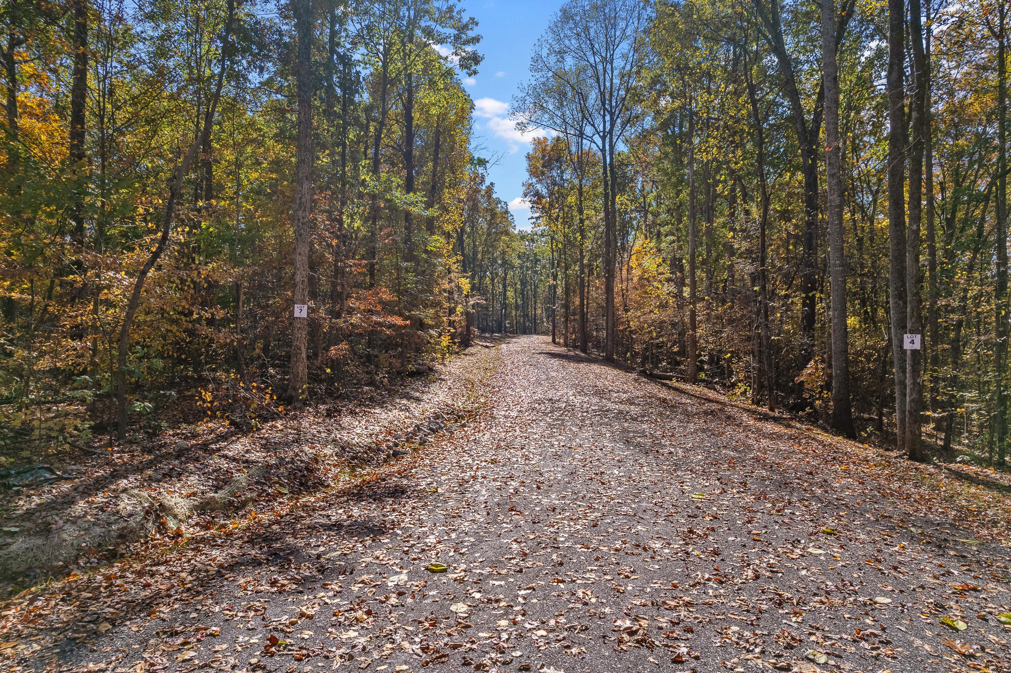 6 County Road 29 Property Photo 4