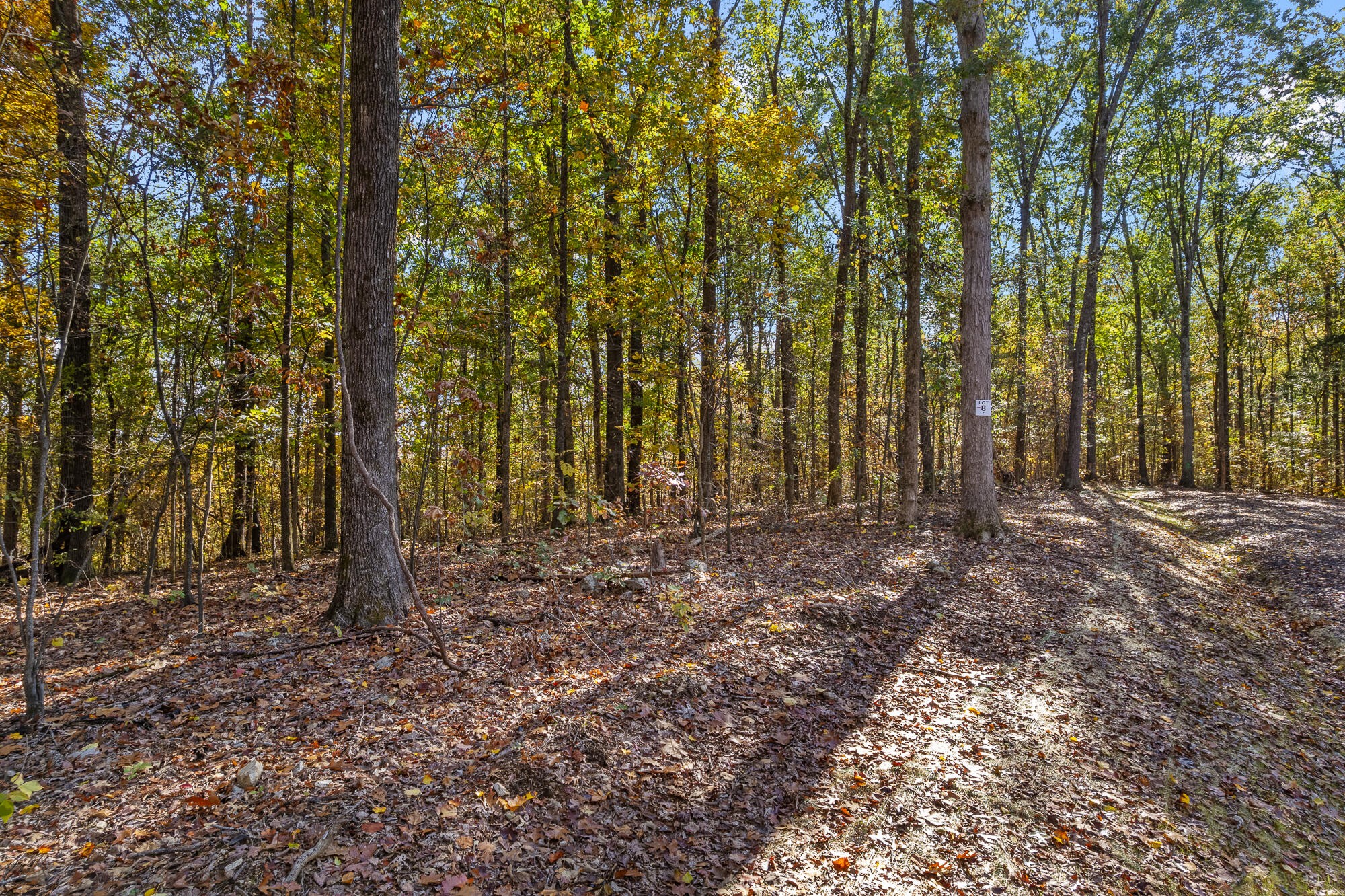 6 County Road 29 Property Photo 5