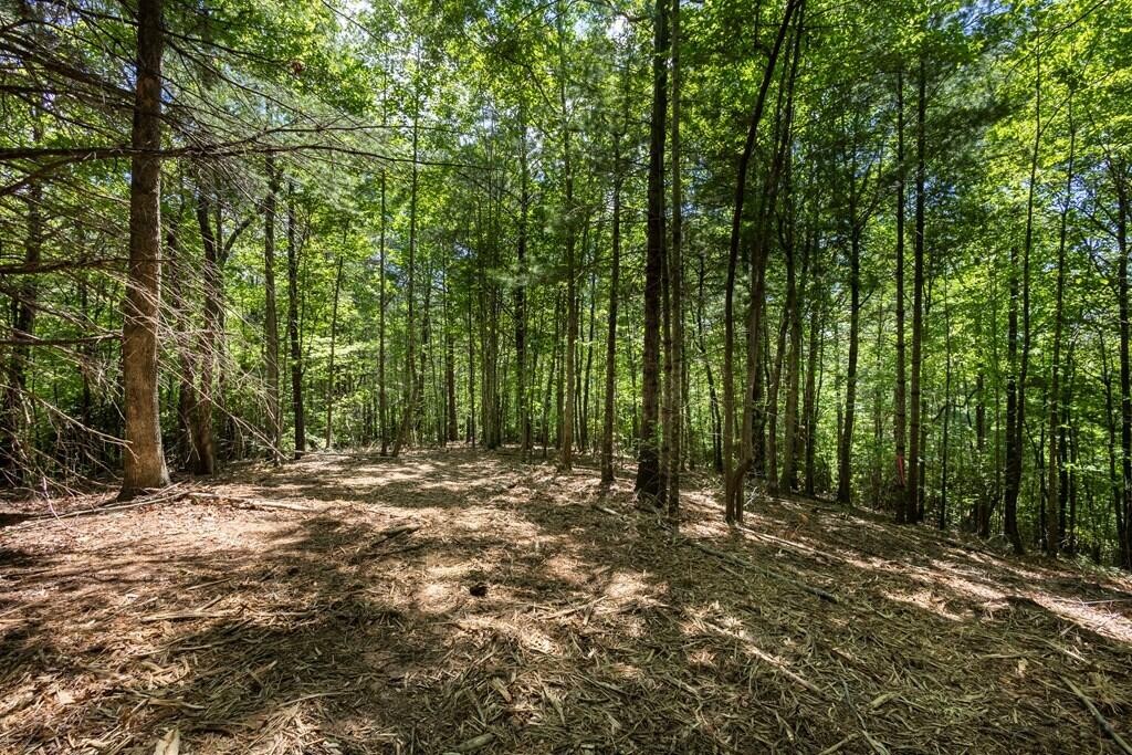 40 Donley Road Property Photo 1