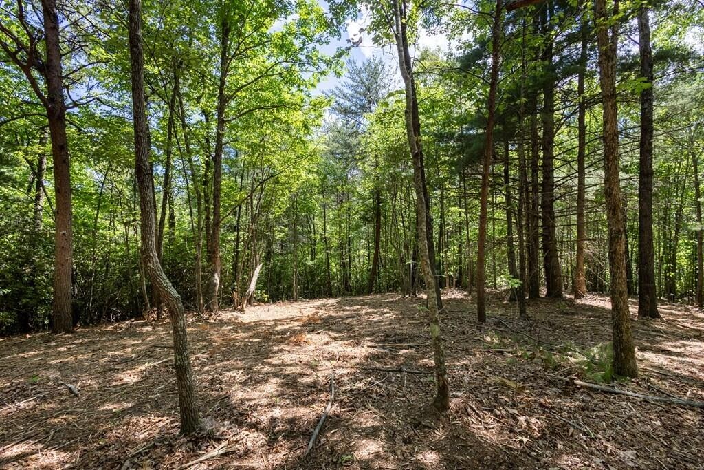 40 Donley Road Property Photo 2