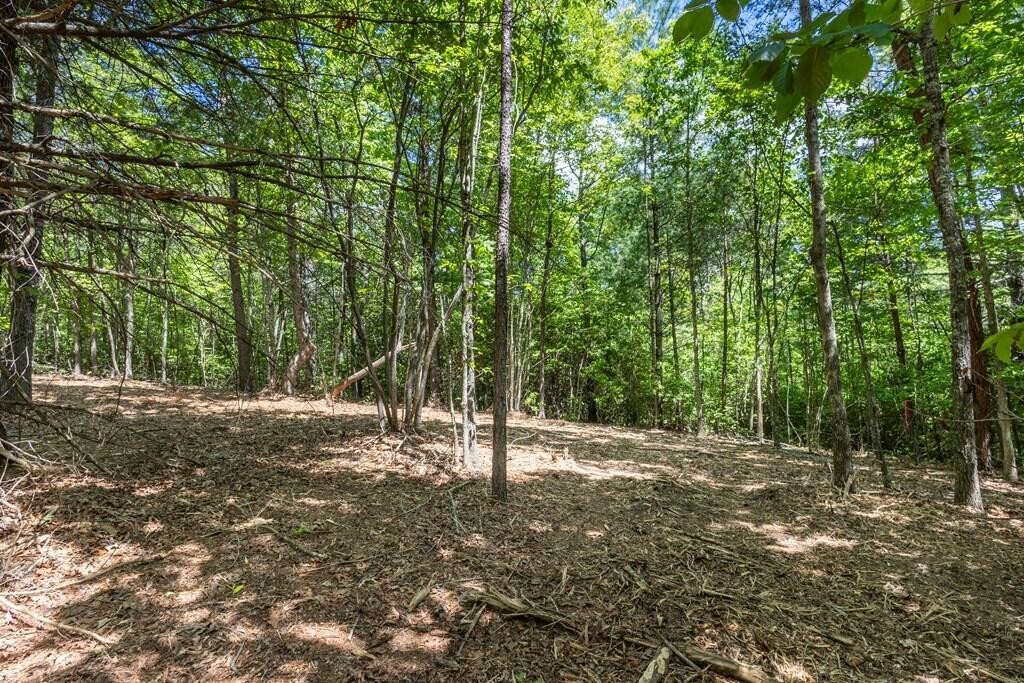 40 Donley Road Property Photo 3