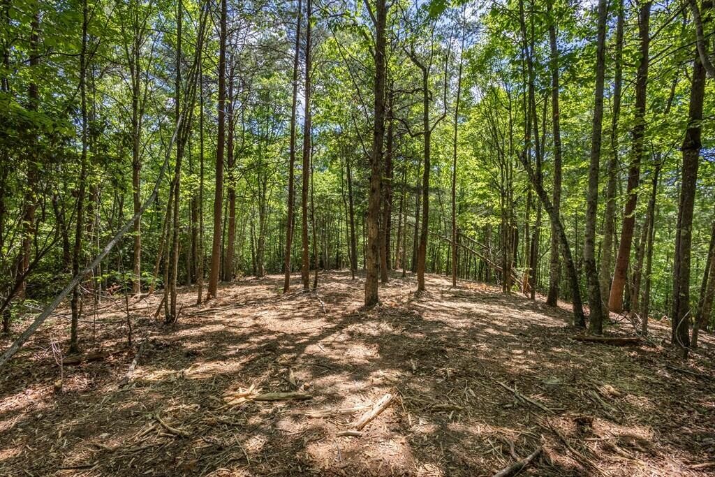 40 Donley Road Property Photo 10