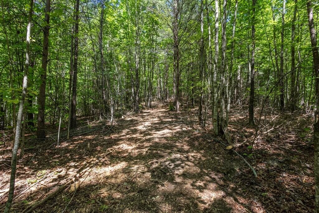 20 Pack Mountain Road Property Photo 1