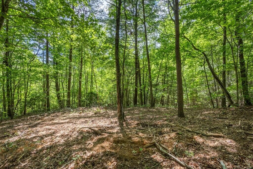 20 Pack Mountain Road Property Photo 2