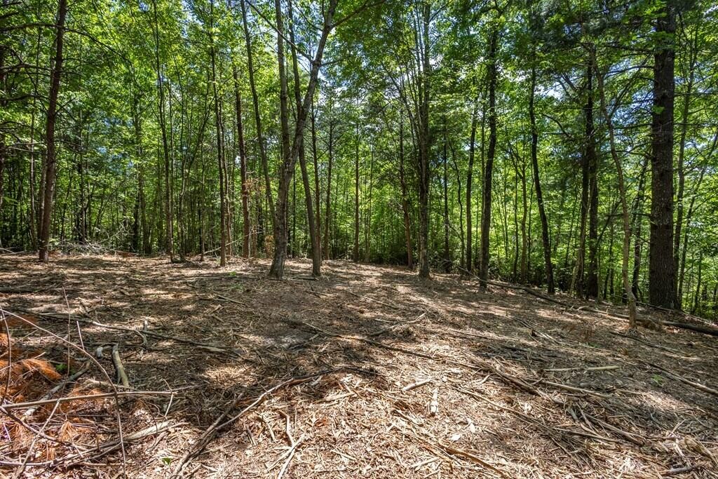 20 Pack Mountain Road Property Photo 4