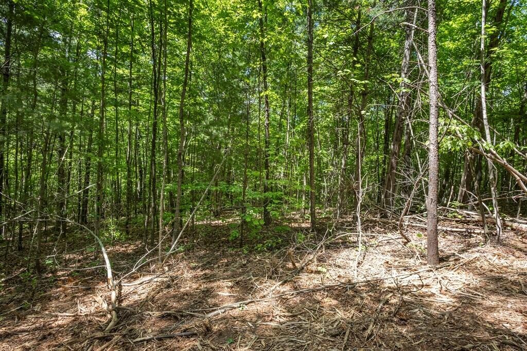 20 Pack Mountain Road Property Photo 5