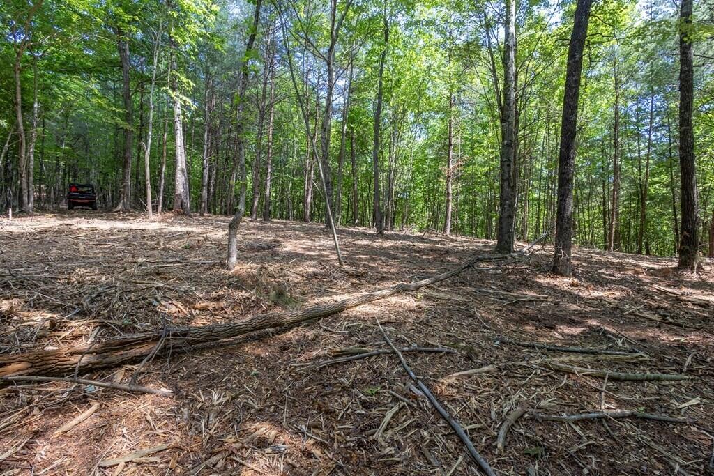 20 Pack Mountain Road Property Photo 6