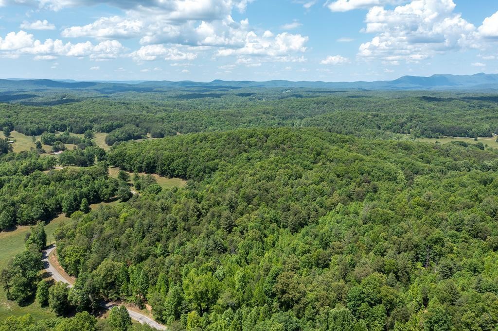 20 Pack Mountain Road Property Photo 8