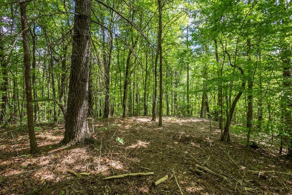 20 Pack Mountain Road Property Photo 9