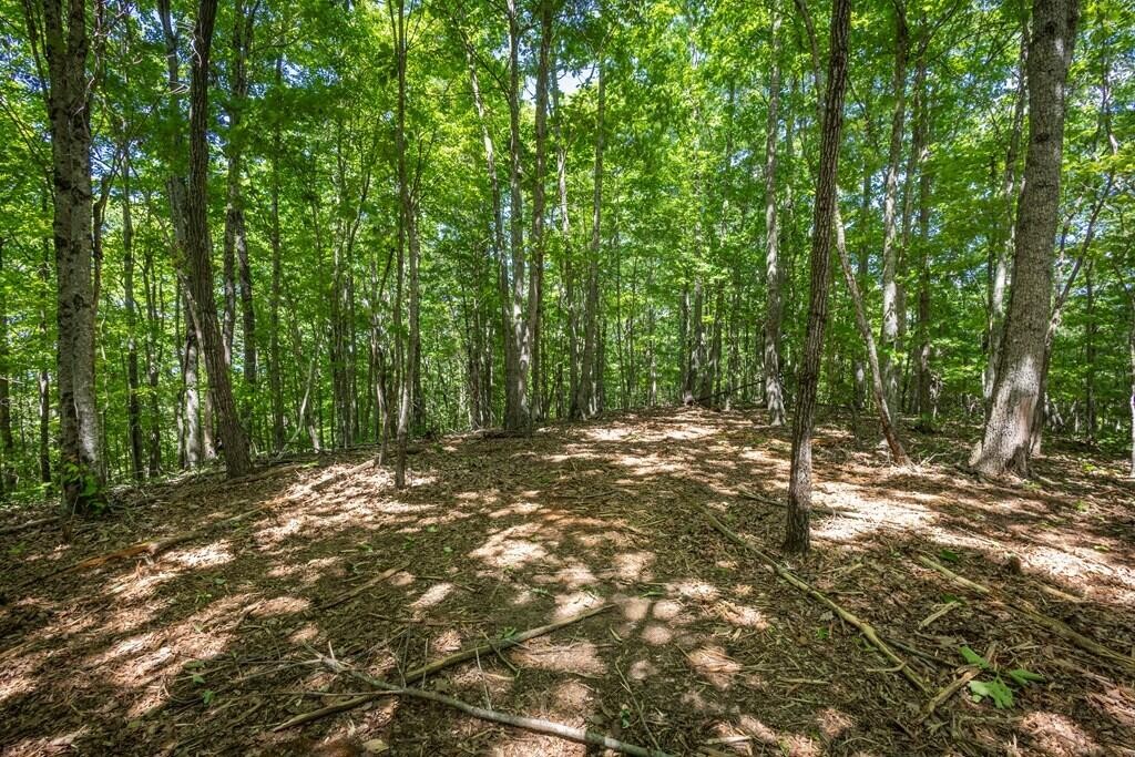 20 Pack Mountain Road Property Photo 10
