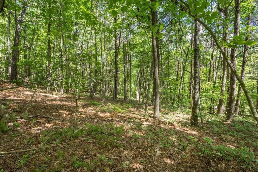 20 Pack Mountain Road Property Photo 12