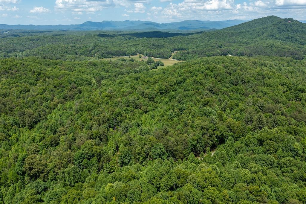 20 Pack Mountain Road Property Photo 13