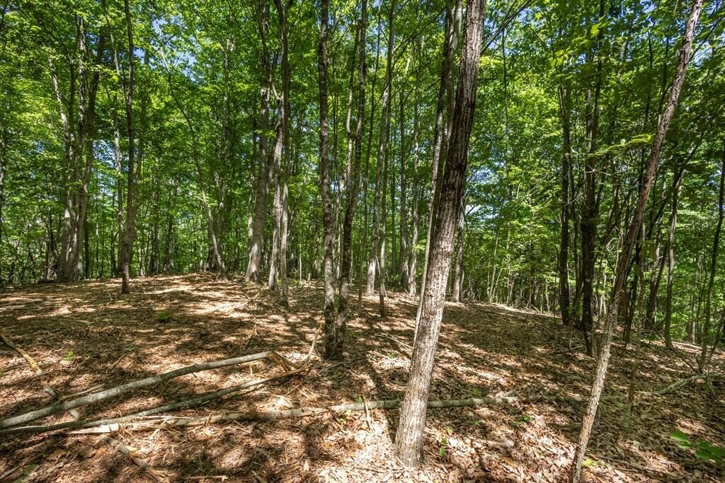 20 Pack Mountain Road Property Photo 14