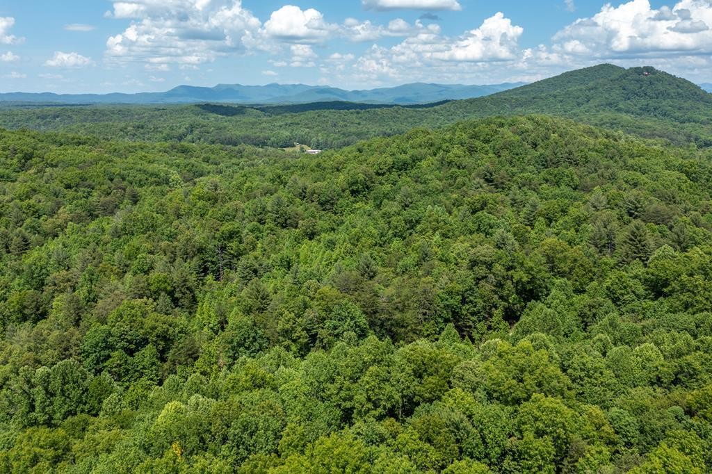 20 Pack Mountain Road Property Photo 15