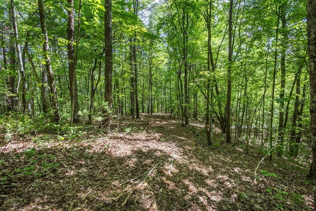 20 Pack Mountain Road Property Photo 16