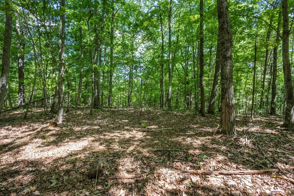 20 Pack Mountain Road Property Photo 17