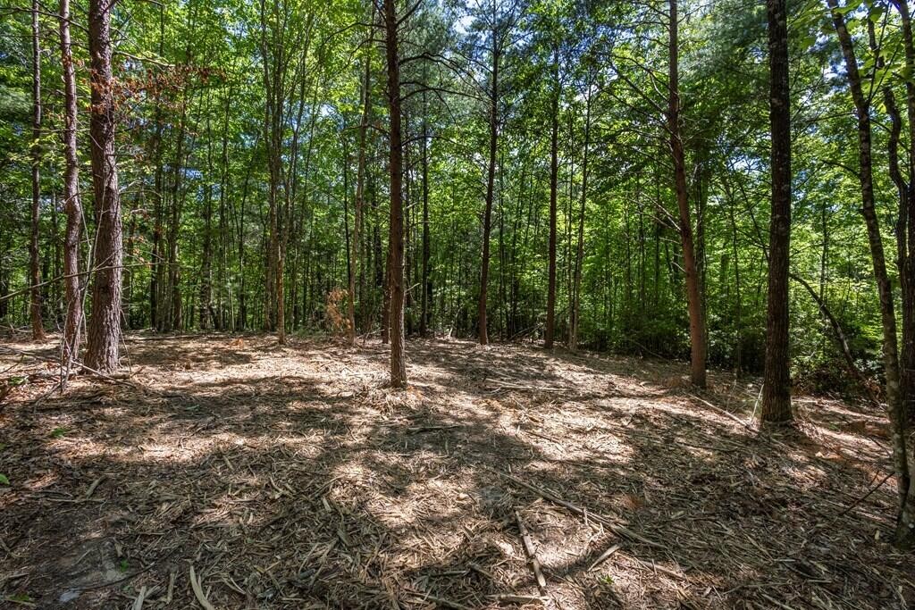 20 Pack Mountain Road Property Photo 18