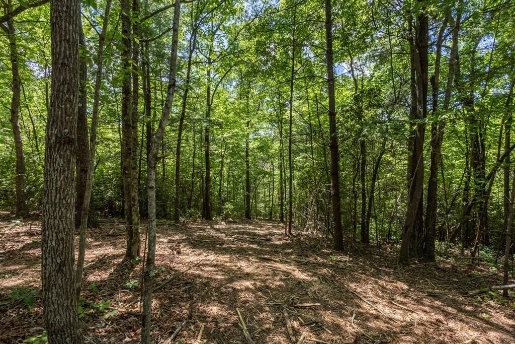 20 Pack Mountain Road Property Photo 19