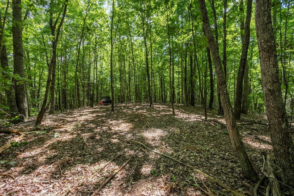 20 Pack Mountain Road Property Photo 20
