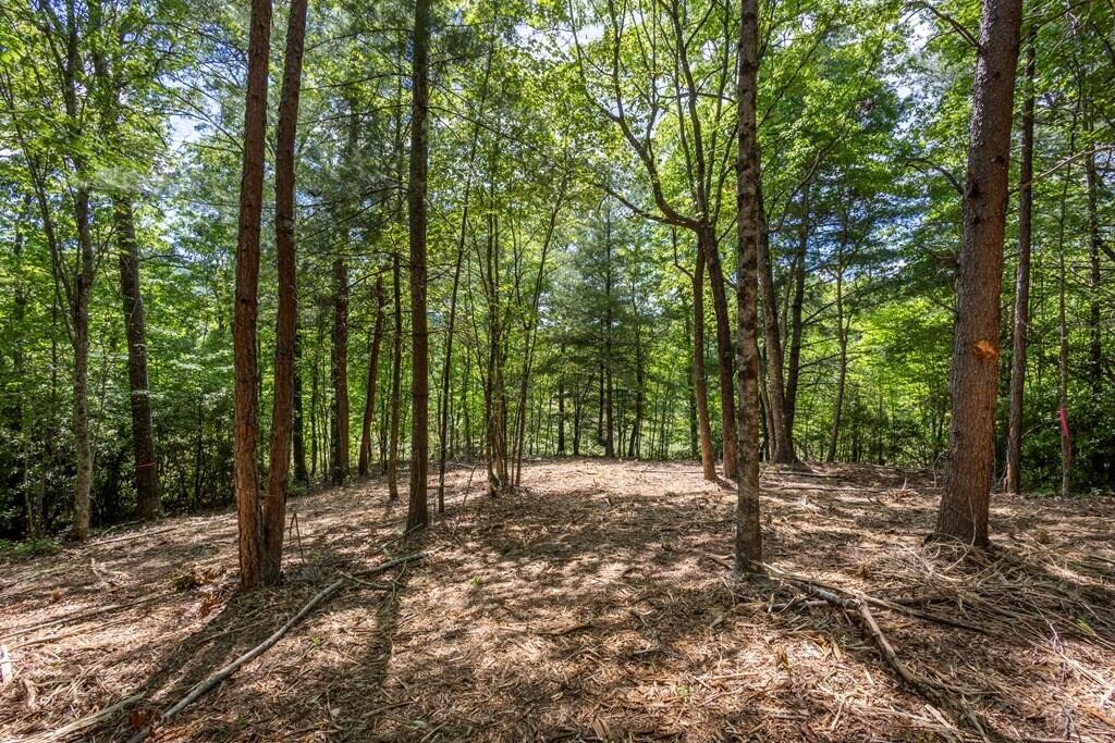 42 Donley Road Property Photo 1