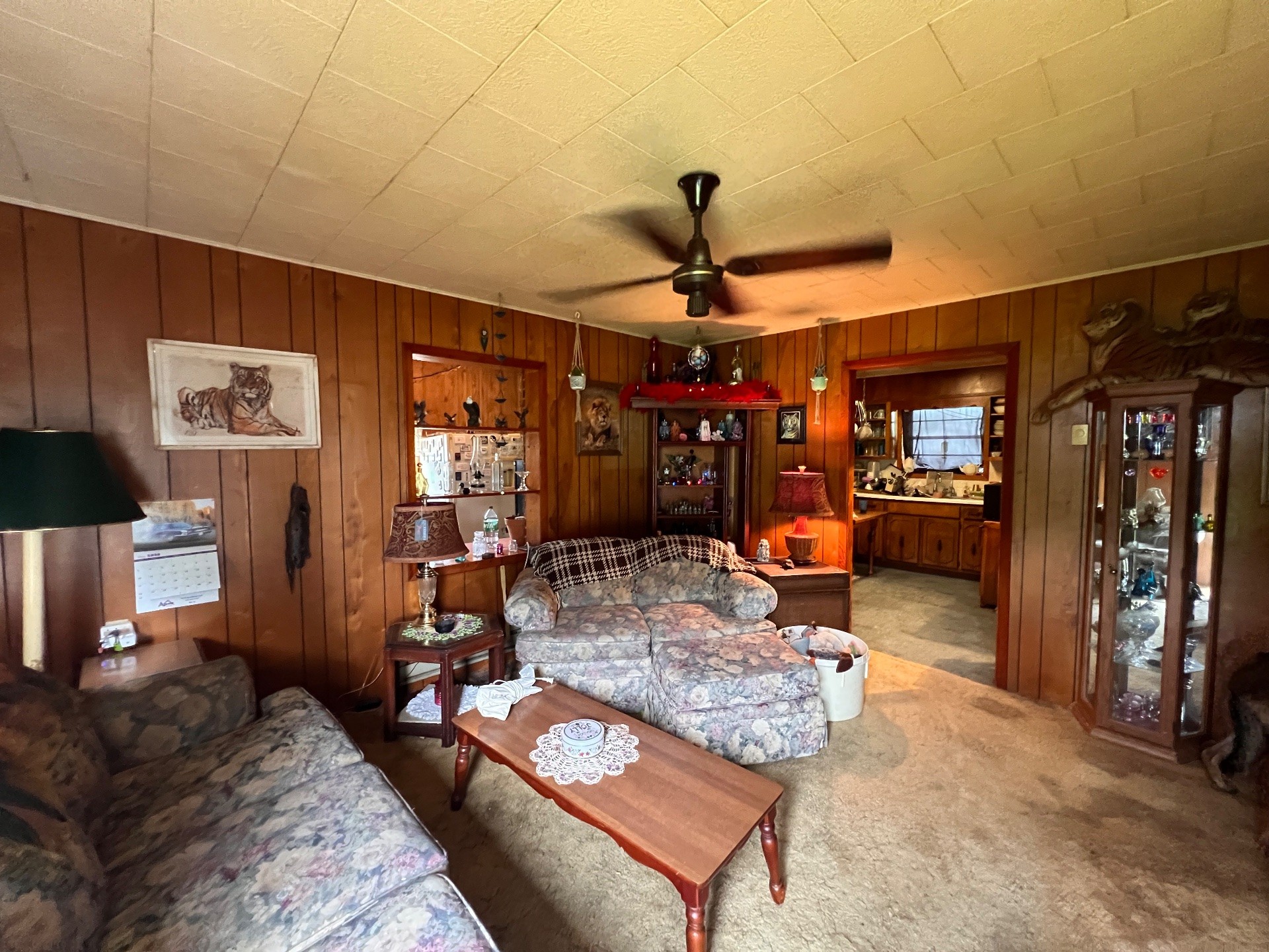 168 Pafford St Property Photo 3