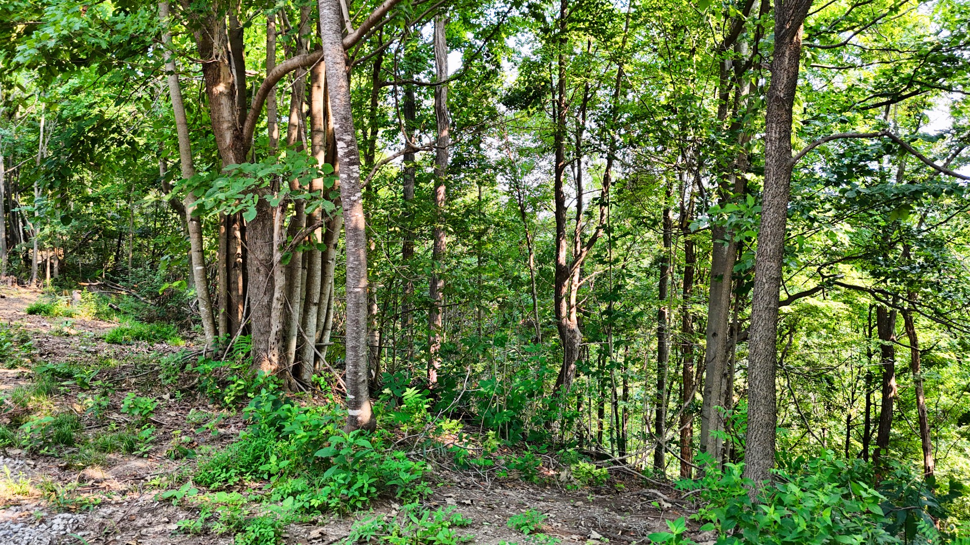 1480 Gravel Hill Rd Property Photo 15