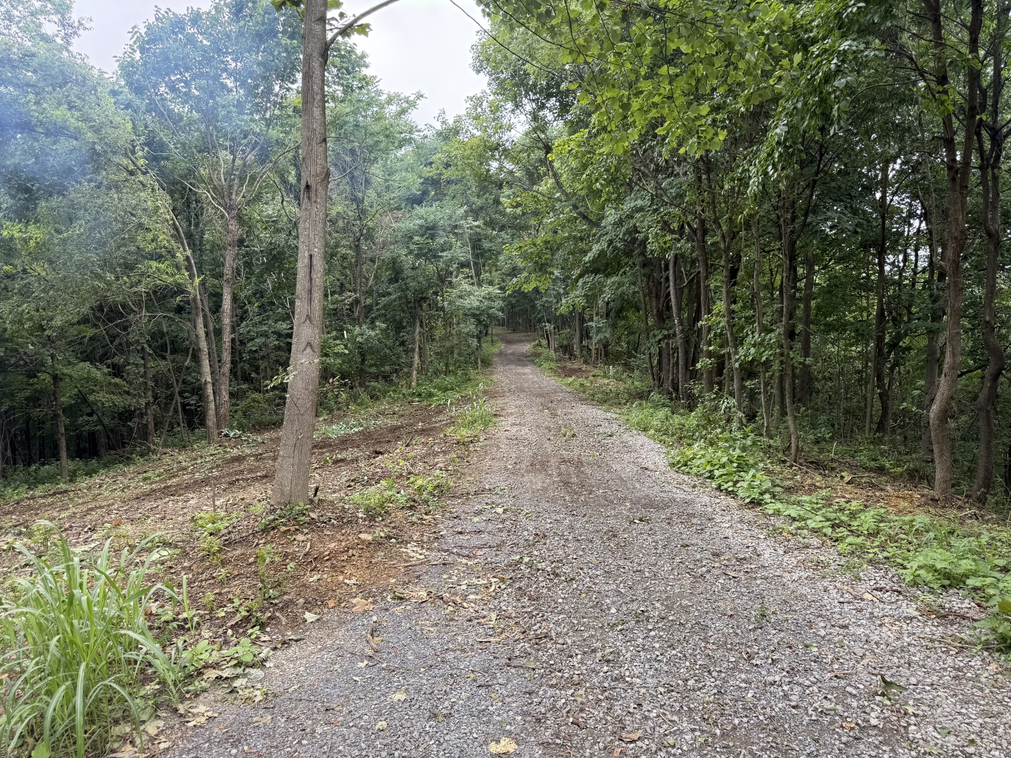 1480 Gravel Hill Rd Property Photo 18