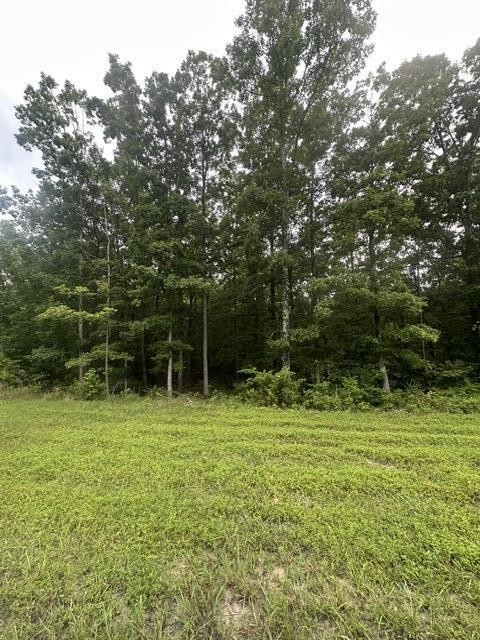 198 Kyuga Drive Property Photo 1