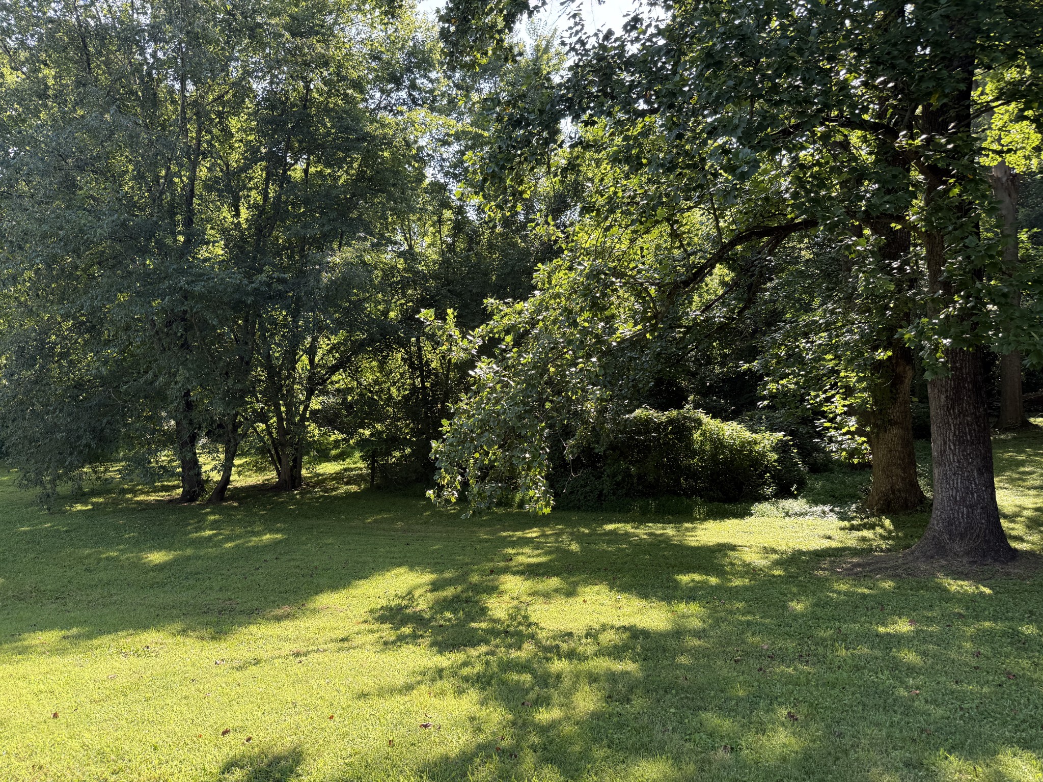 0 Azalea Dr Property Photo 1