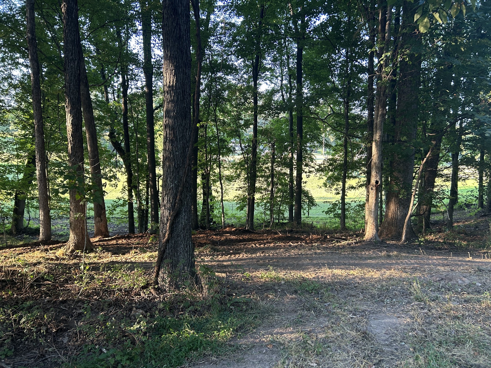 0 Cedar Creek Rd Property Photo 1