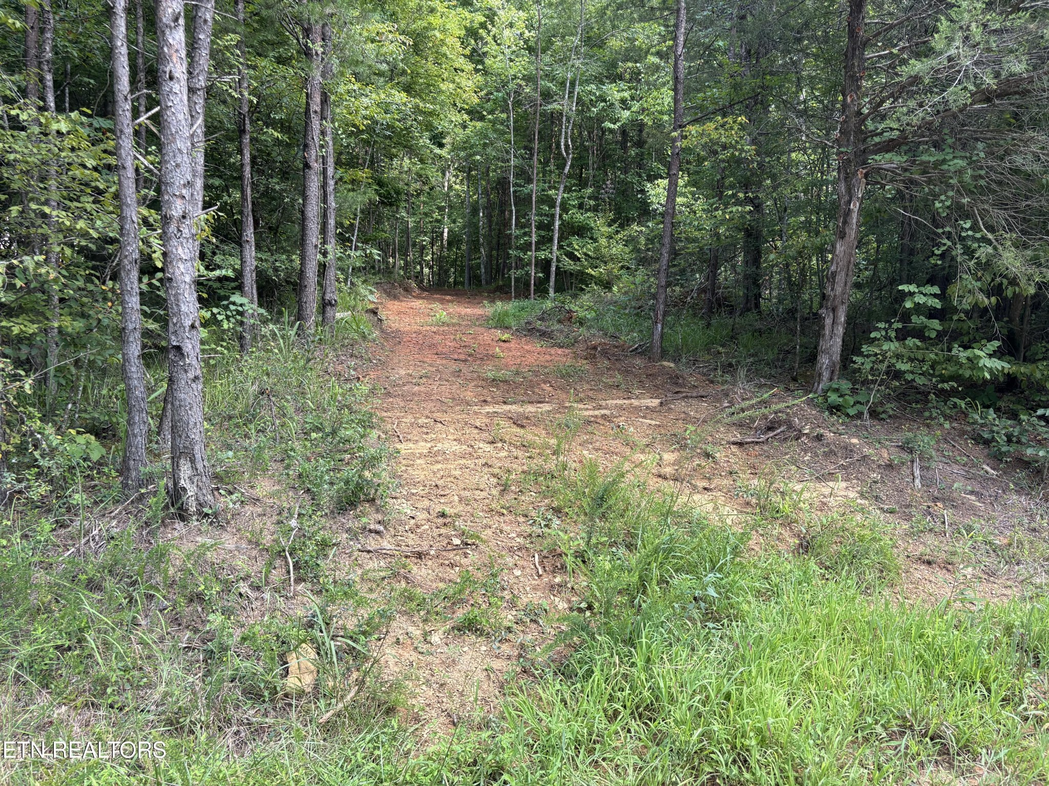 130 Tellico Camp Rd Property Photo 1