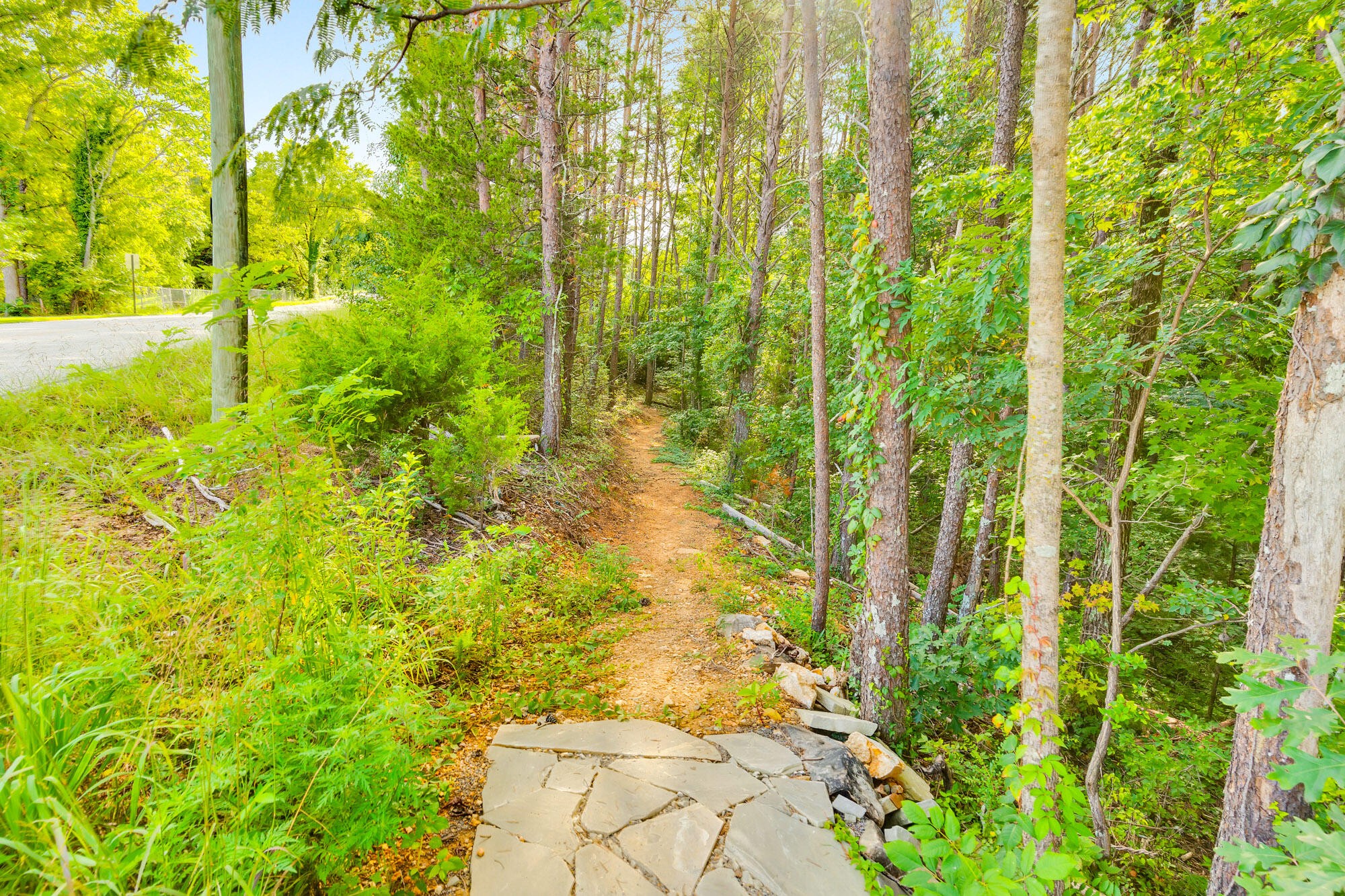 871 Cranes Camp Trail Property Photo 44