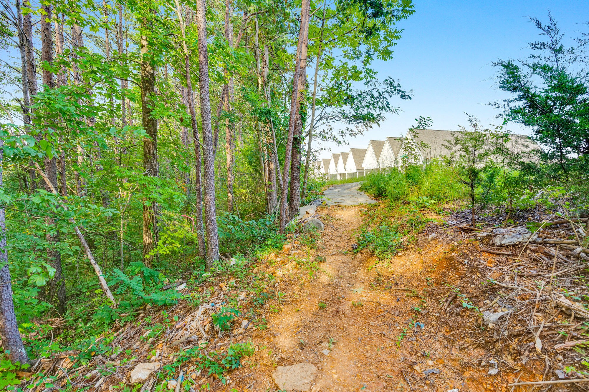 871 Cranes Camp Trail Property Photo 45