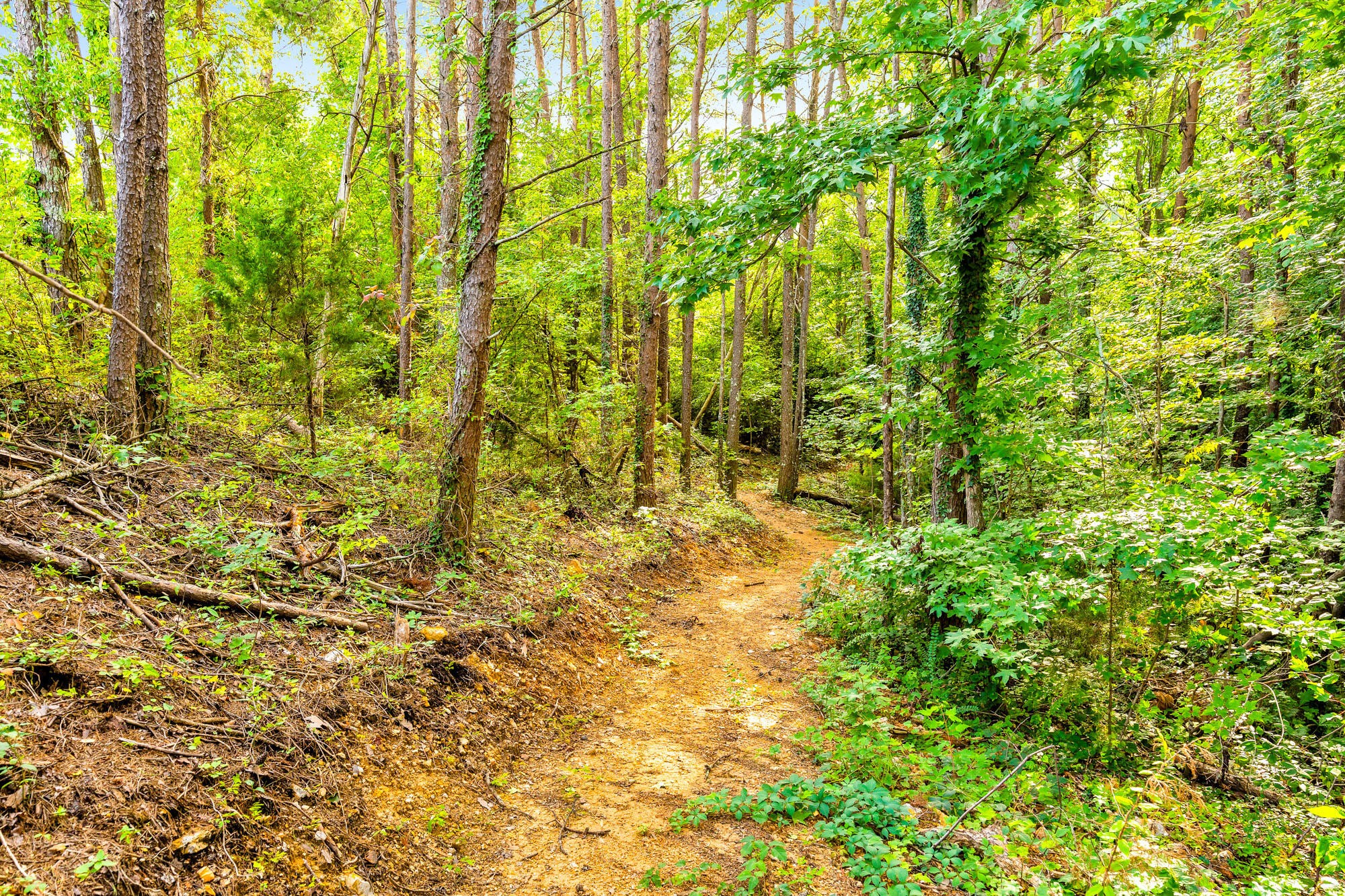 871 Cranes Camp Trail Property Photo 46