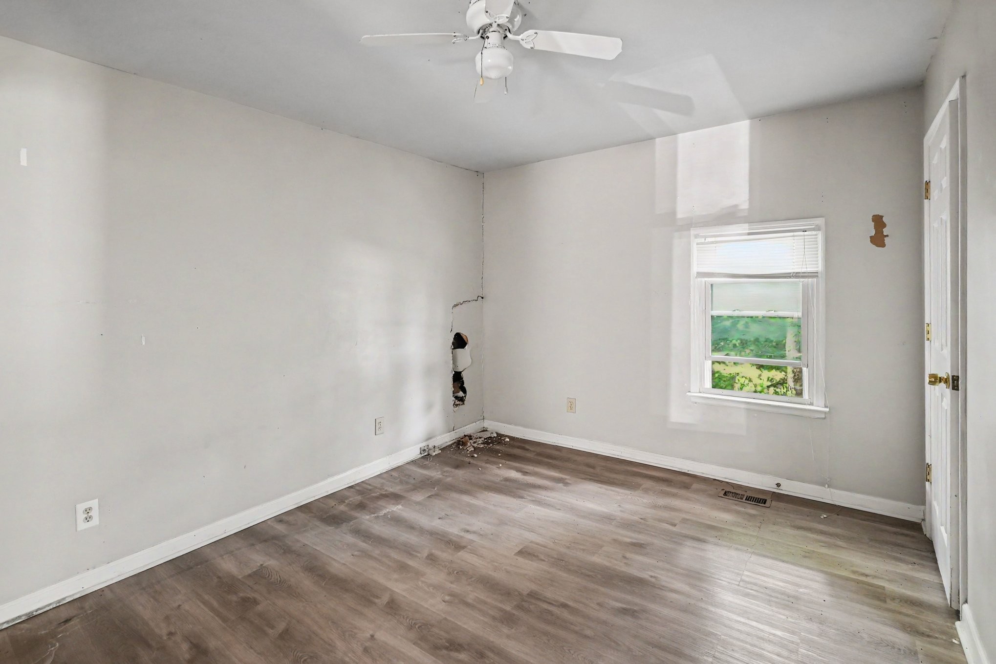 520 Veritas St Property Photo 25