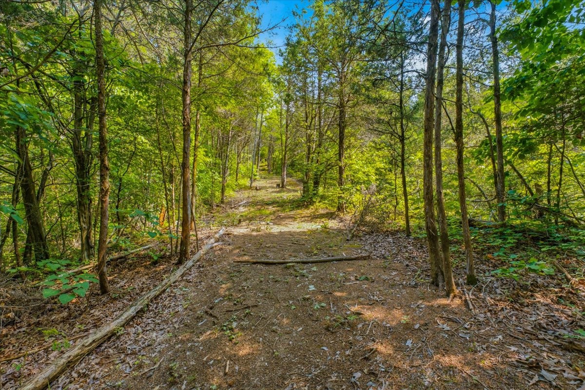 1814 Big Gully Rd Property Photo 34