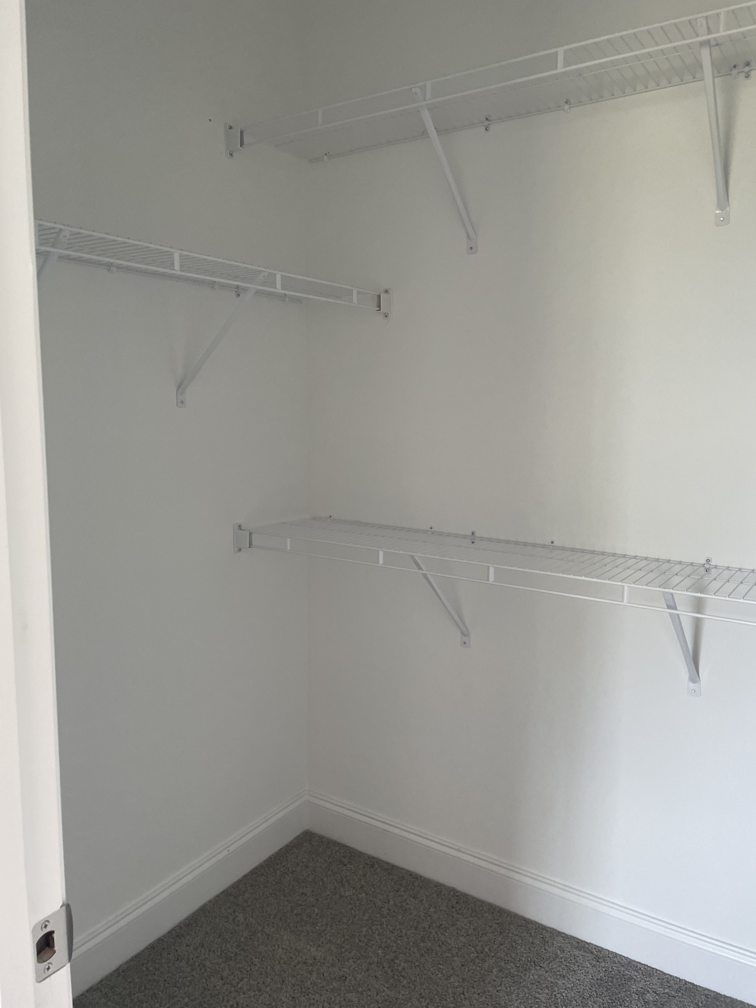 320 Savoy Loop Property Photo 18