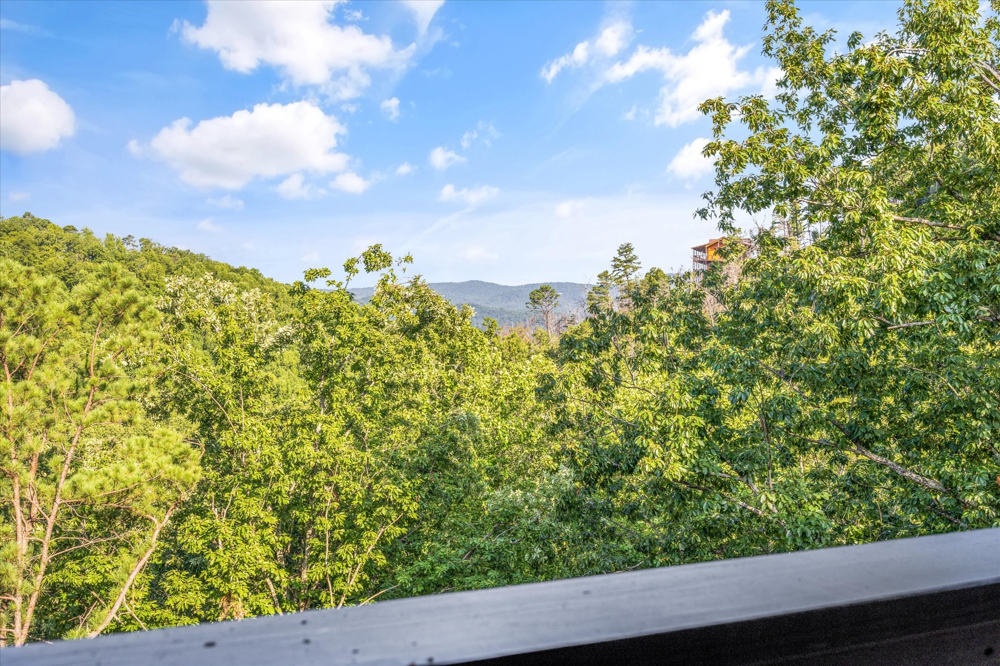 3414 Sugar Maple Loop Rd Property Photo 41